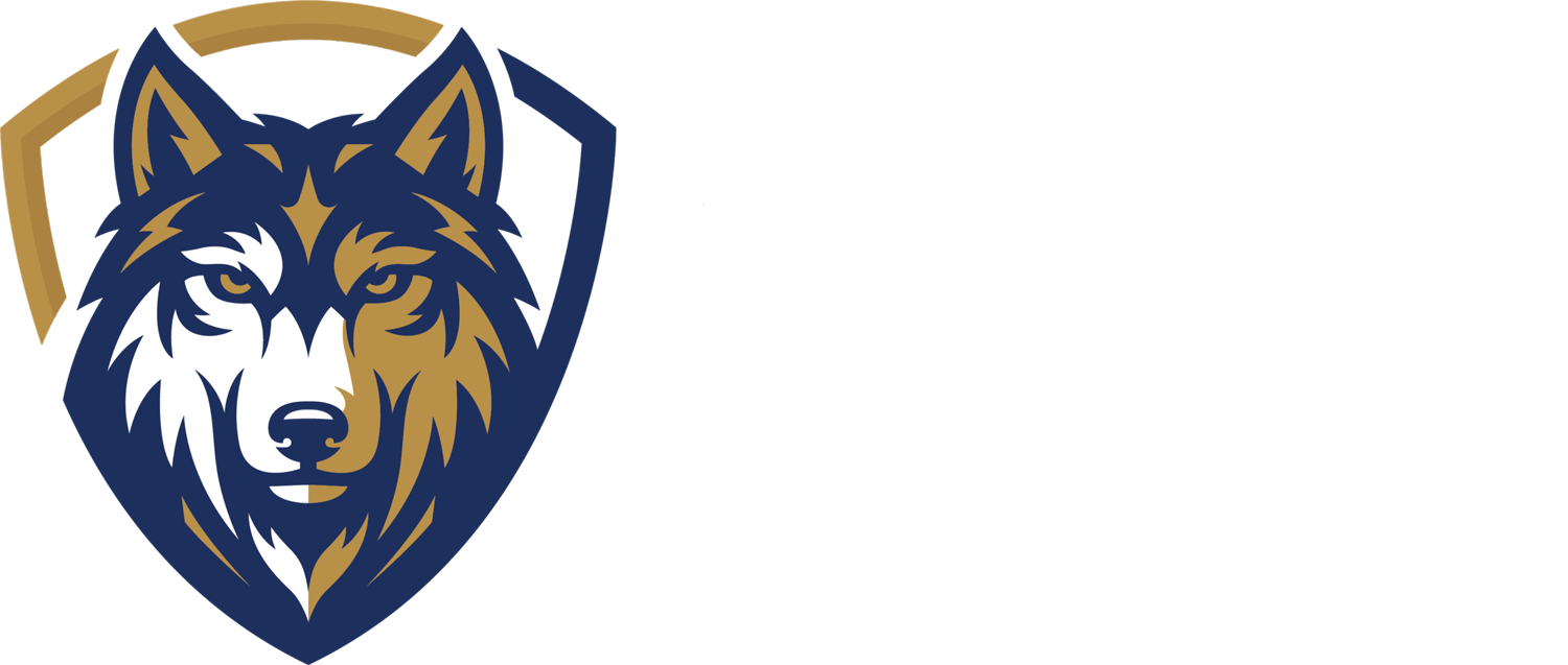 Wolf Talent Partners